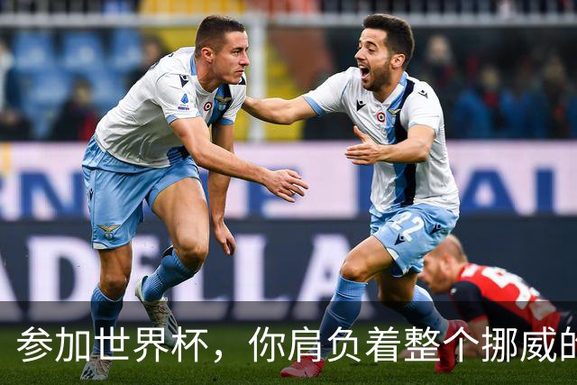 参加世界杯，你肩负着整个挪威的期望！哈兰德：我喜欢这样